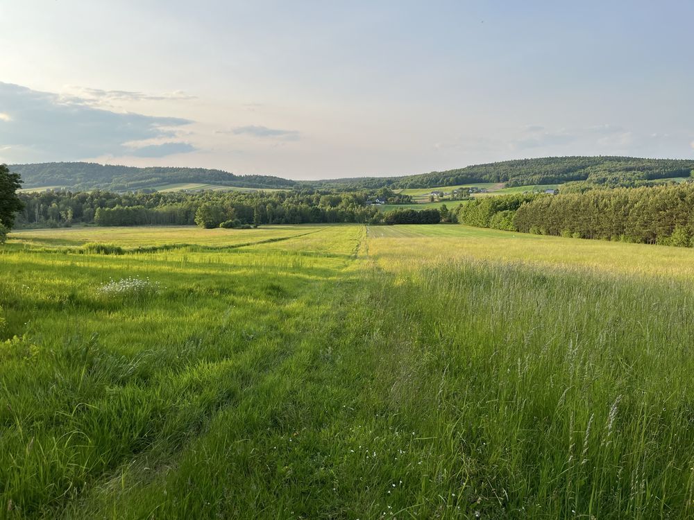 Działka rolno-budowlana Ociesęki. Zdjęcie 1
