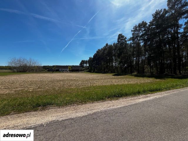 Działka rolno-budowlana Grotów. Zdjęcie 1