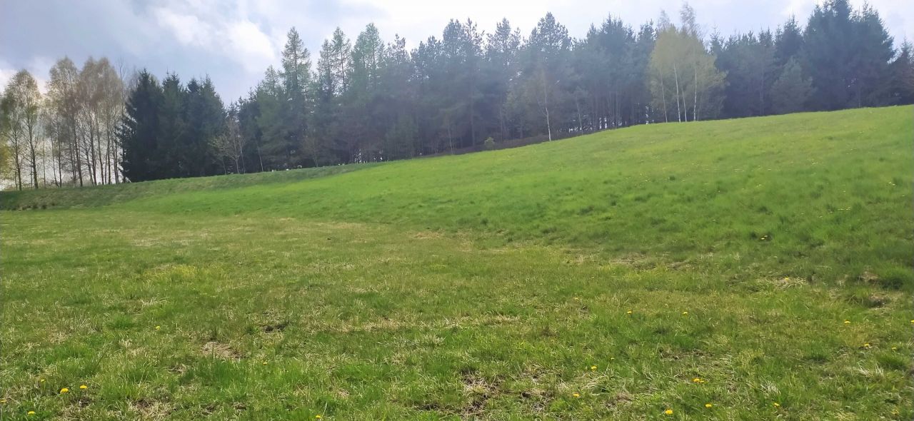 Działka Grauże Nowe. Zdjęcie 8