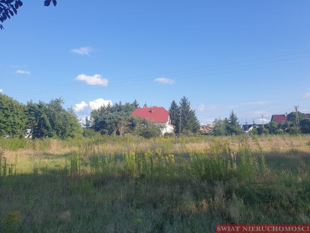 Działka budowlana Święta Katarzyna. Zdjęcie 1