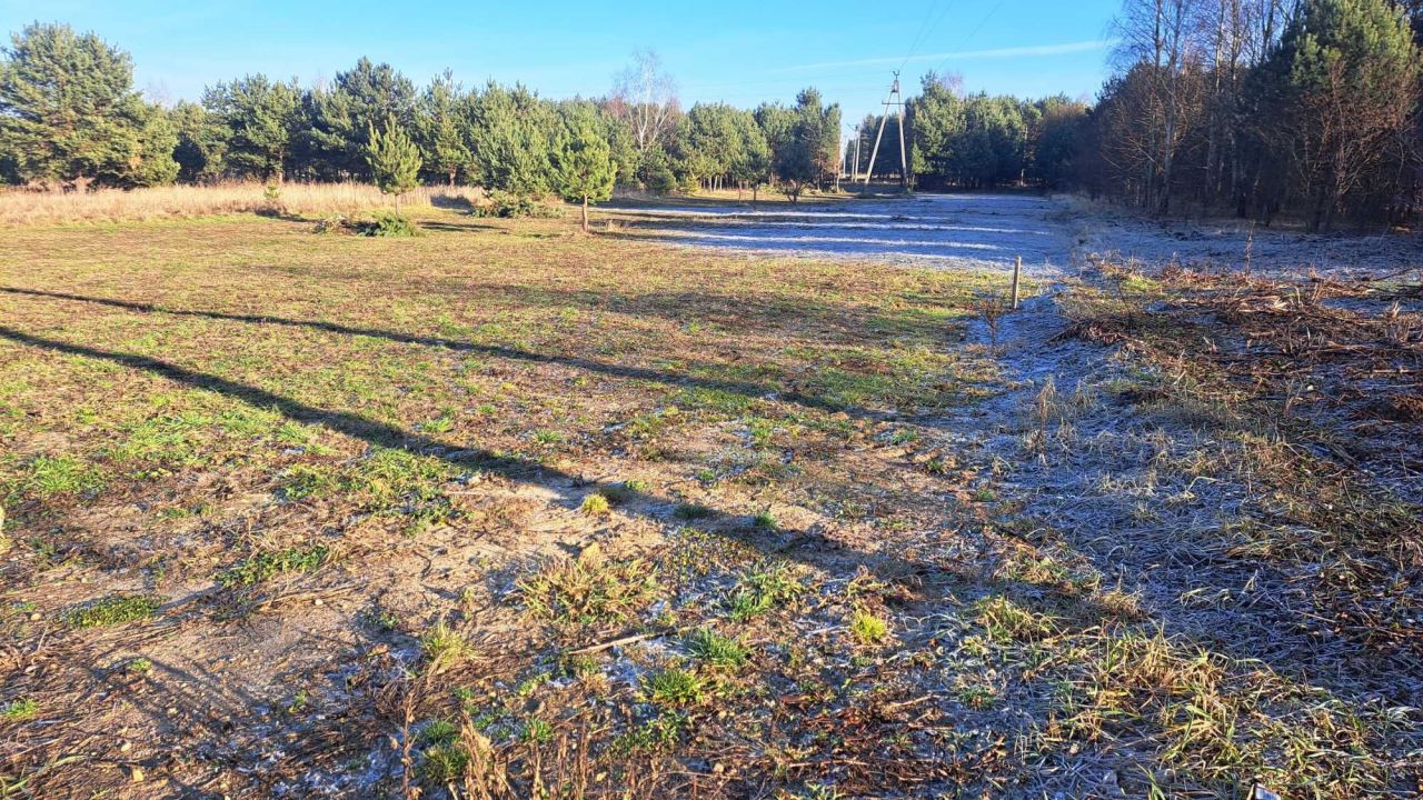 Działka budowlana Zrębice Zrębice Pierwsze, ul. Bukowska. Zdjęcie 7