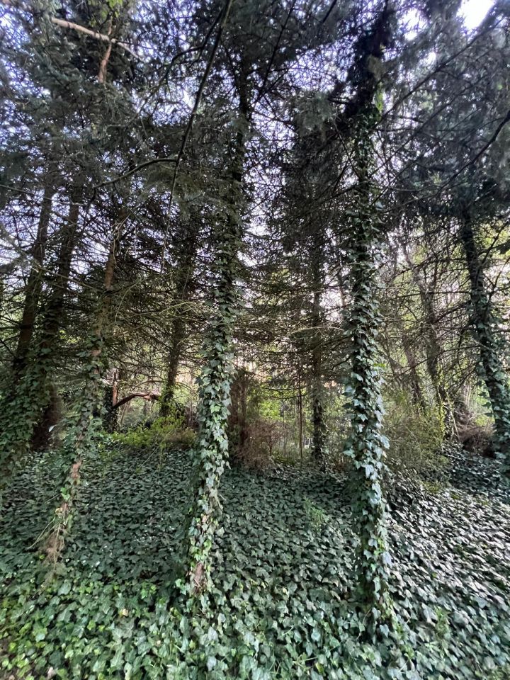 Działka budowlana Kopanina, ul. Gajowa. Zdjęcie 2