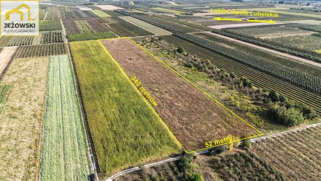 Działka rolna Kamień. Zdjęcie 4