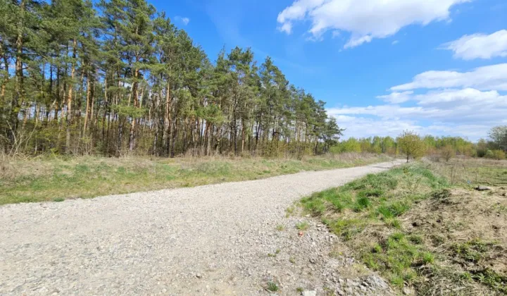 Działka budowlana Żółwin