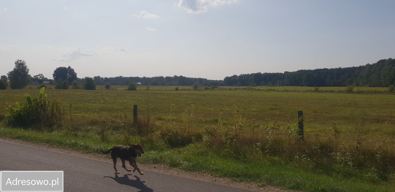 Działka rolna Jagiełła. Zdjęcie 5