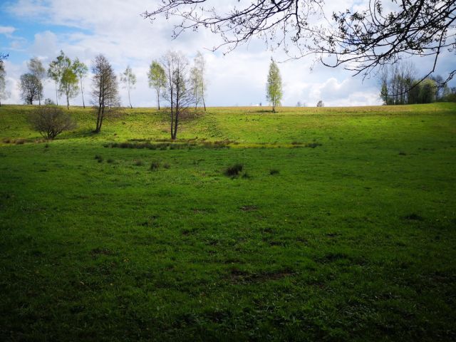 Działka rolna Mieszałki. Zdjęcie 1