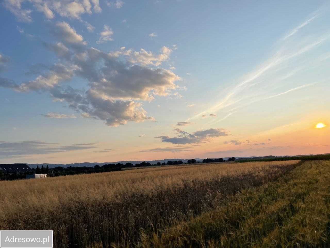 Działka rolno-budowlana Włóki. Zdjęcie 10