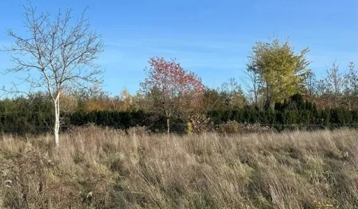 Działka budowlana Rusiec