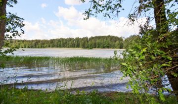Działka leśna Sadłowina