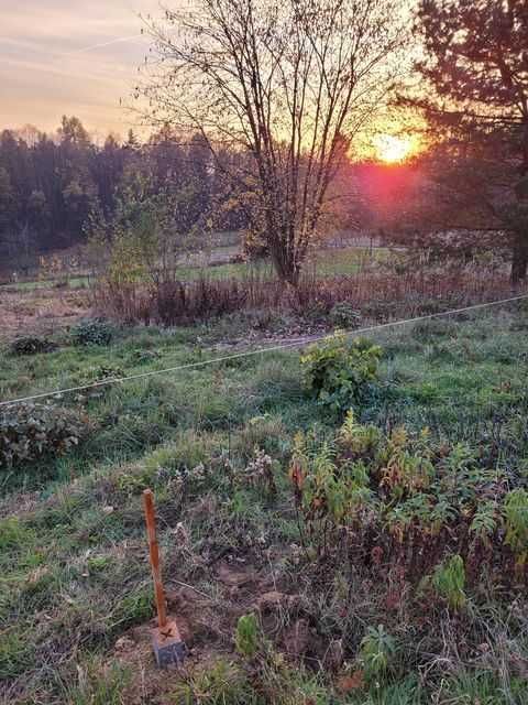 Działka budowlana Borówki. Zdjęcie 4