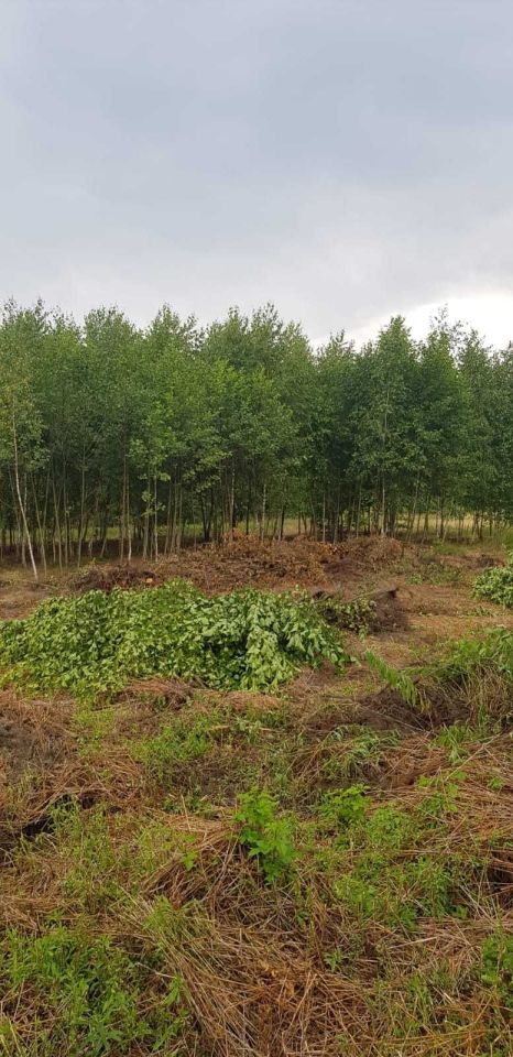 Działka rolno-budowlana Cyganka, ul. Przyjazna. Zdjęcie 3