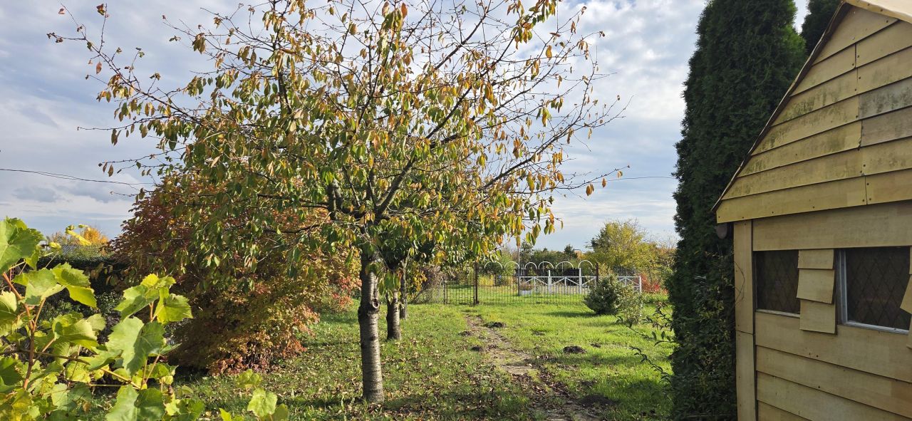 Mieszkanie 3-pokojowe Piwnice, ul. Spacerowa. Zdjęcie 13
