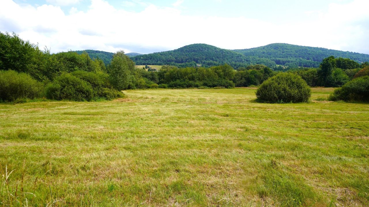 Działka budowlana Wysowa-Zdrój. Zdjęcie 2