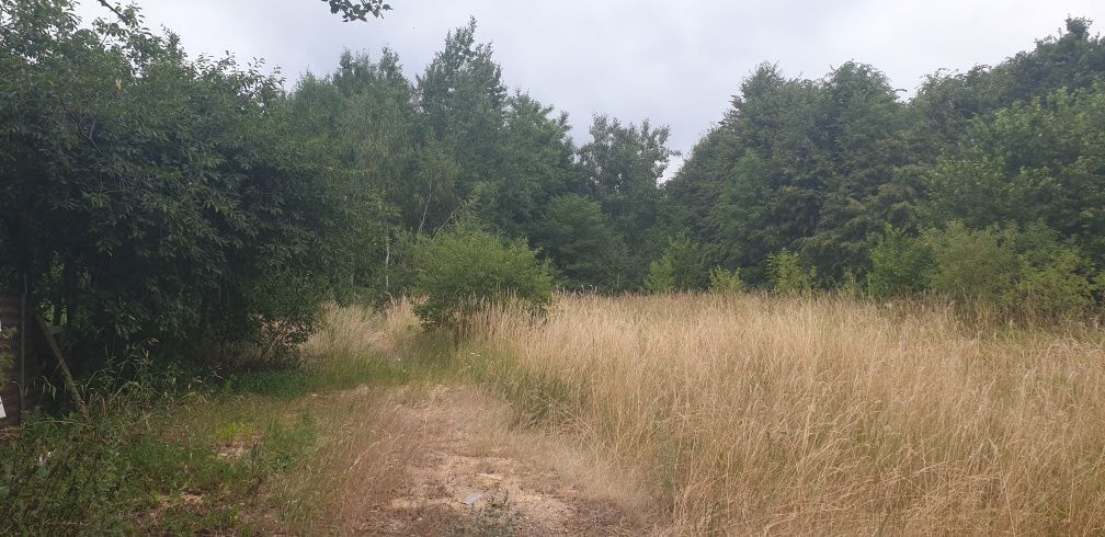 Działka budowlana Boksycka. Zdjęcie 7