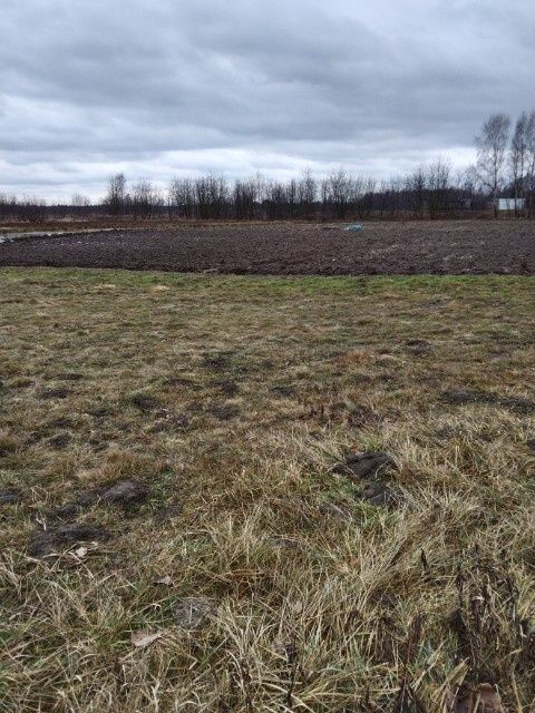 Działka inwestycyjna Knapy, ul. Leśna. Zdjęcie 3