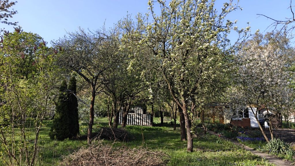 Działka rod Wrocław Krzyki. Zdjęcie 2