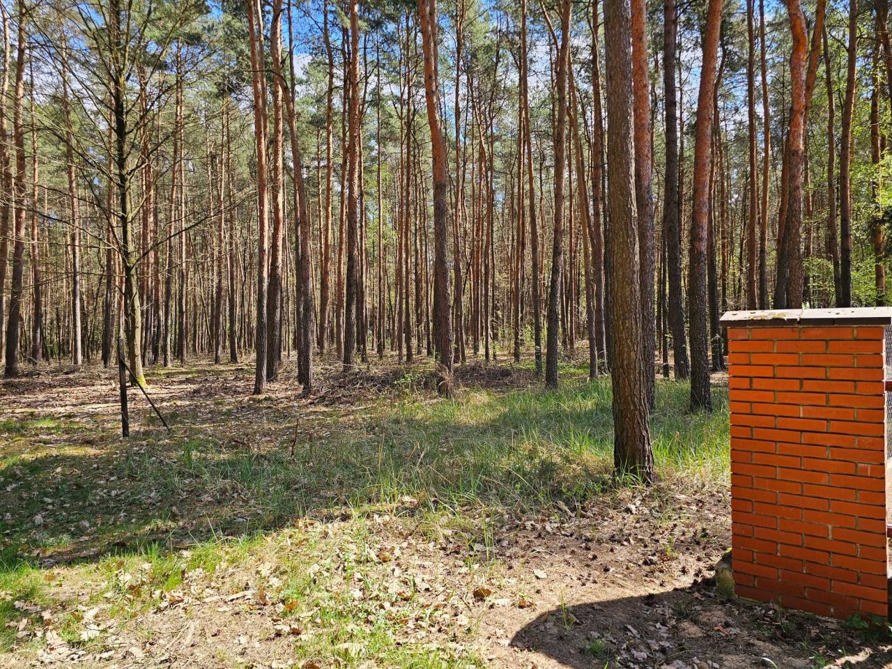 Działka budowlana Siestrzeń. Zdjęcie 2