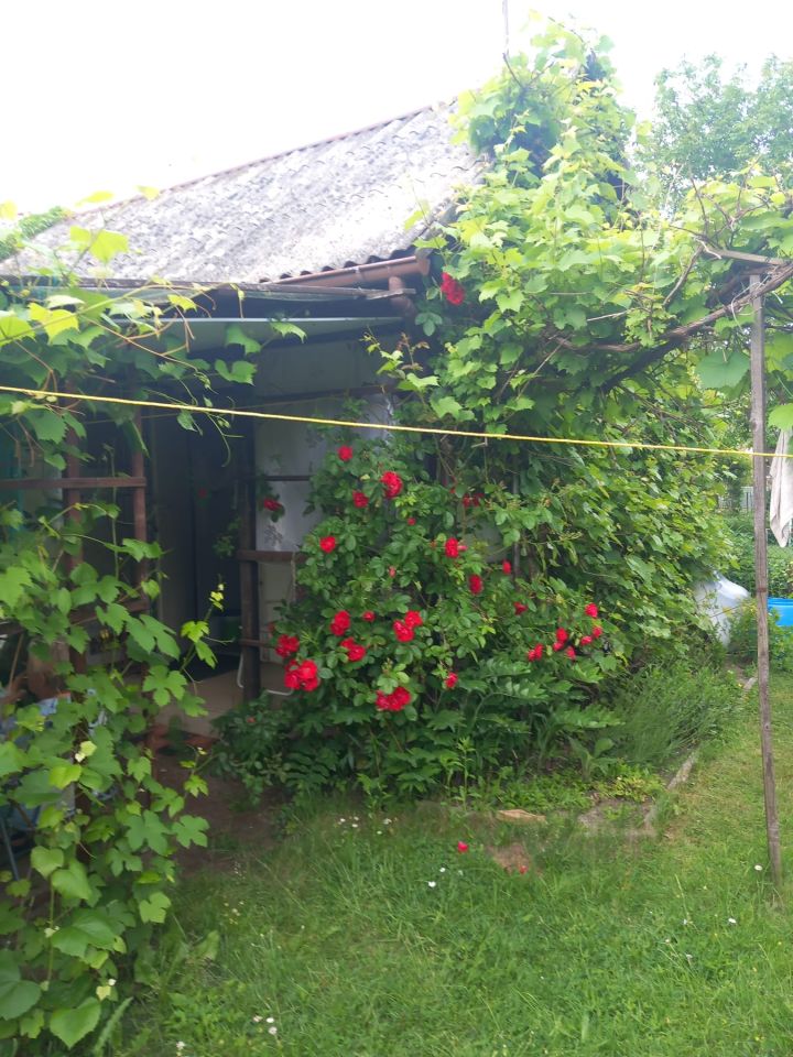 Działka rod Zielona Góra Jędrzychów, Zbożowa. Zdjęcie 2