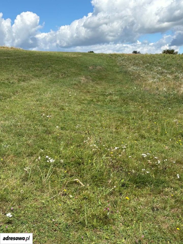 Działka budowlana Grojec, ul. Pańska. Zdjęcie 9