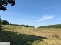 Działka rolna Lekity. Zdjęcie 1