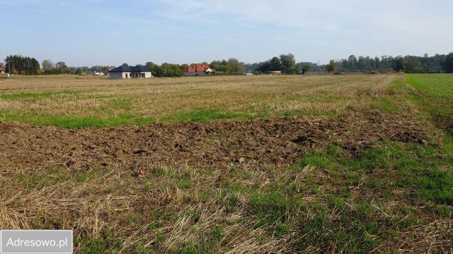 Działka rolno-budowlana Listomie. Zdjęcie 1