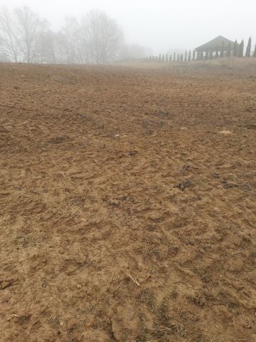 Działka rolno-budowlana Lubiewo. Zdjęcie 1