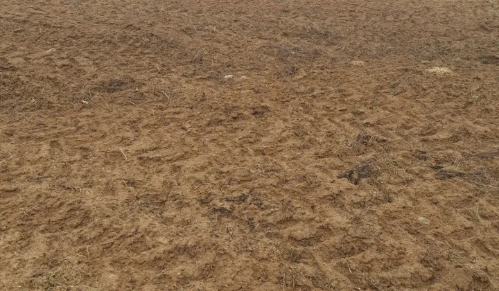 Działka rolno-budowlana Lubiewo