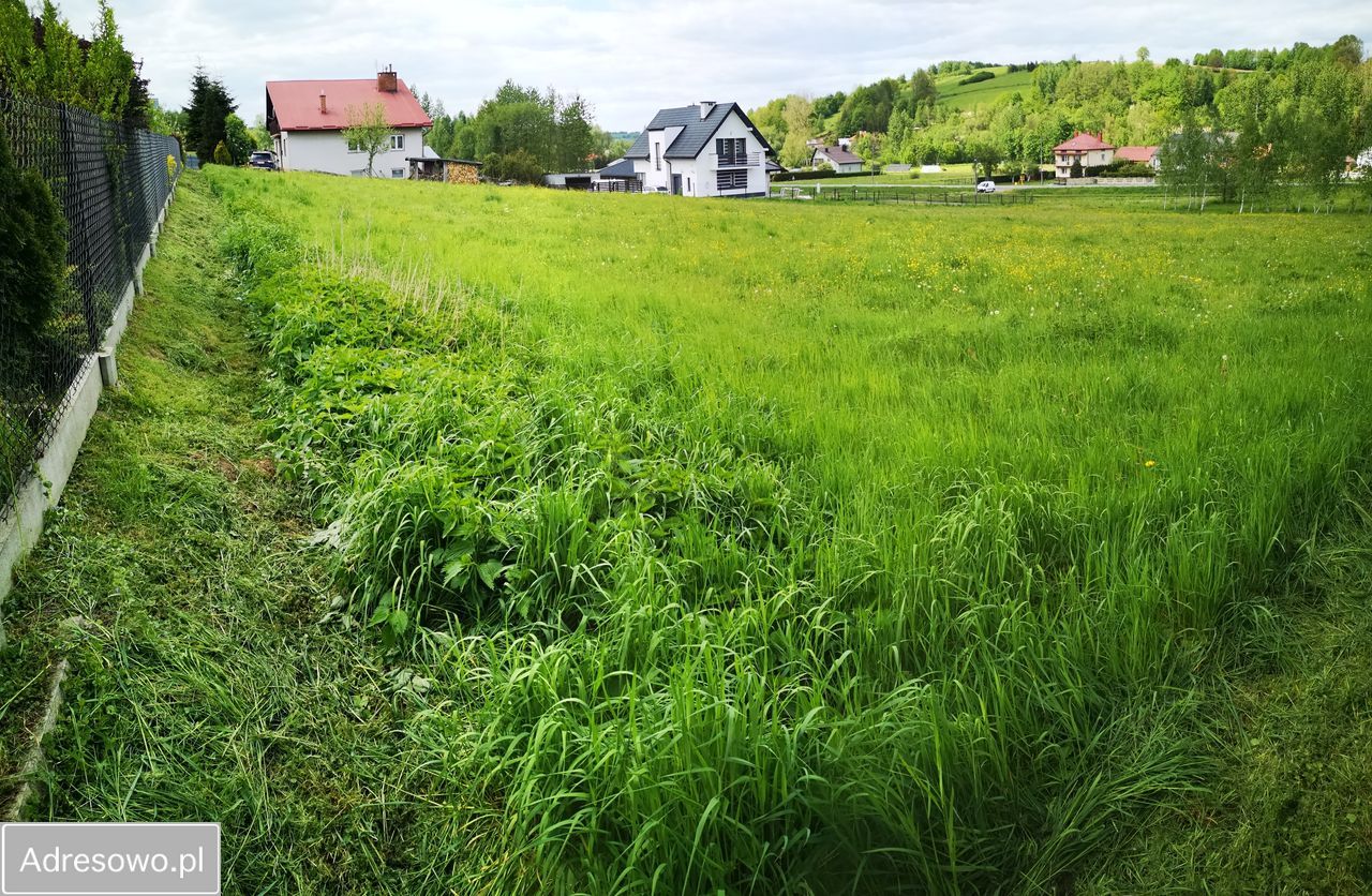Działka budowlana Hyżne. Zdjęcie 2