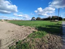 Działka rolno-budowlana Piotrków Pierwszy. Zdjęcie 2