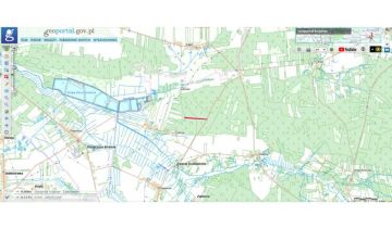 Działka leśna Kuźnica