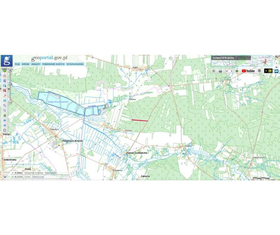 Działka leśna Kuźnica. Zdjęcie 2