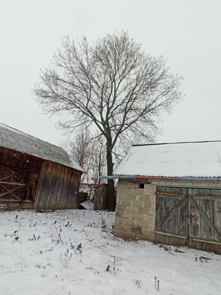 siedlisko Łysaków. Zdjęcie 6