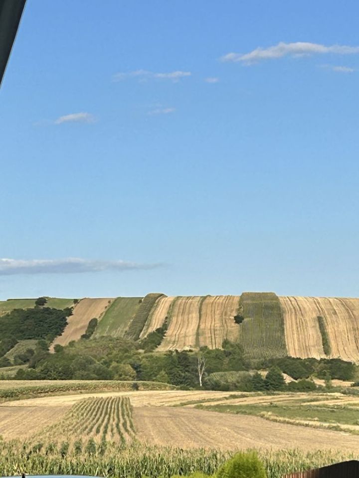 dom wolnostojący Kazimierza Mała. Zdjęcie 8