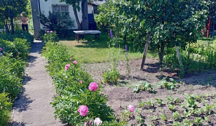 Działka rod Wrocław Psie Pole, ul. Henryka Michała Kamieńskiego