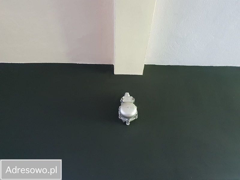 Nieruchomość komercyjna Biestrzynnik. Zdjęcie 6