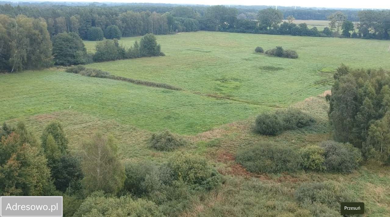 Działka rolna Stawno. Zdjęcie 3