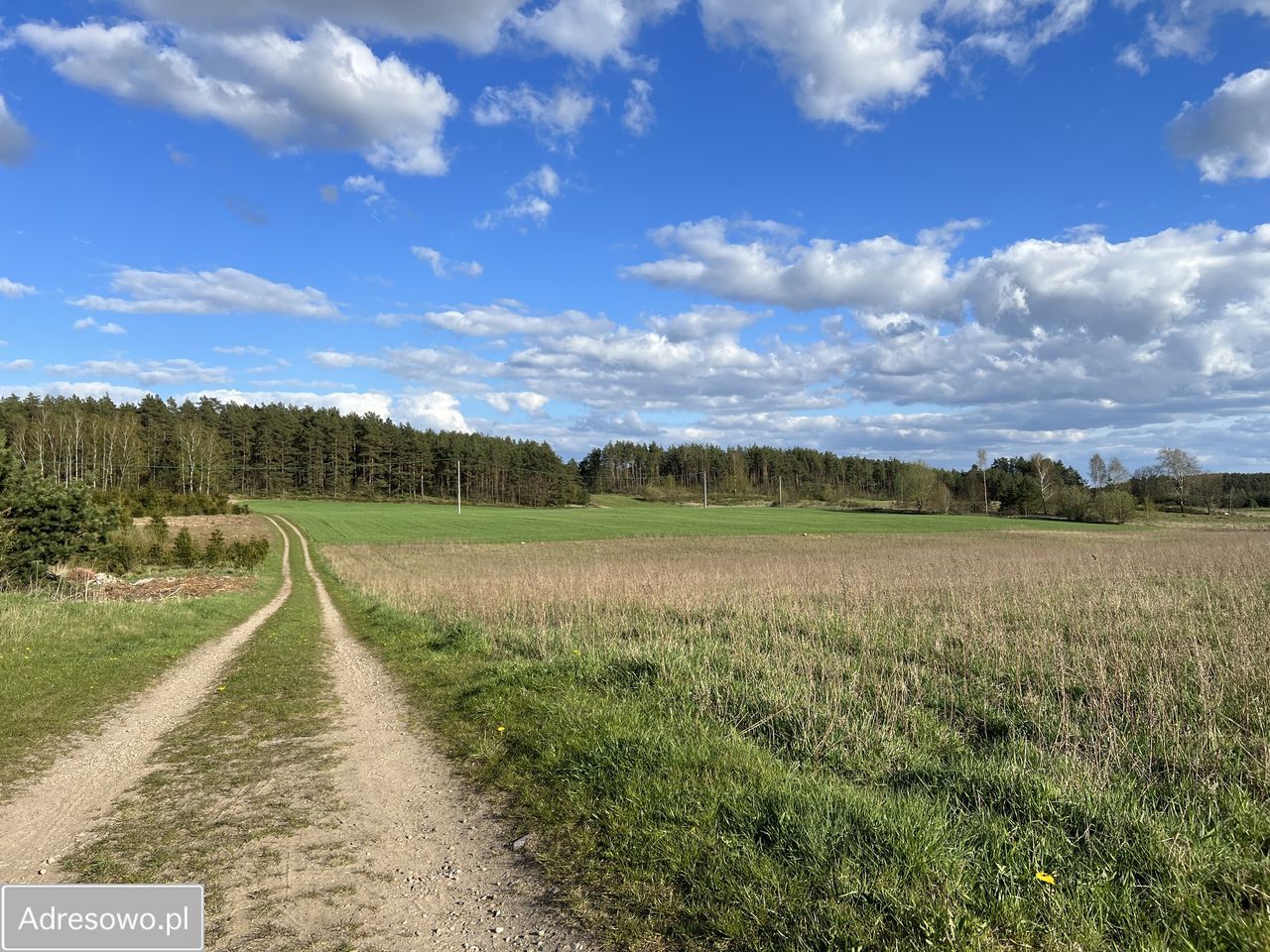 bliźniak, 6 pokoi Węsiory. Zdjęcie 10