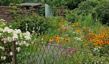 Działka rod Sosnowiec Milowice