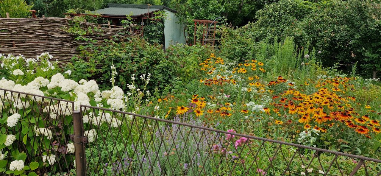 Działka rod Sosnowiec Milowice. Zdjęcie 2