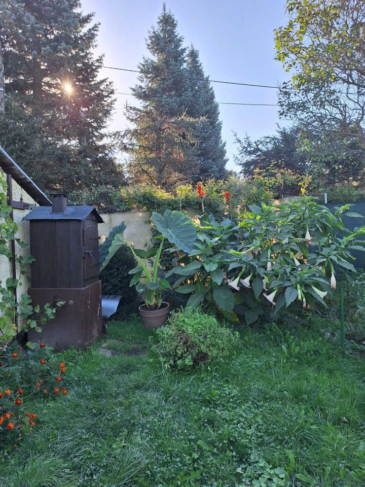 Działka rod Kowary. Zdjęcie 1