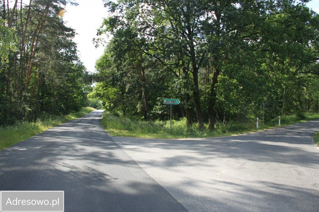 Działka rolno-budowlana Pałki. Zdjęcie 3