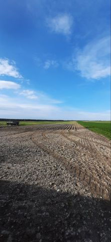 Działka rolna Konieczno Półanki. Zdjęcie 1