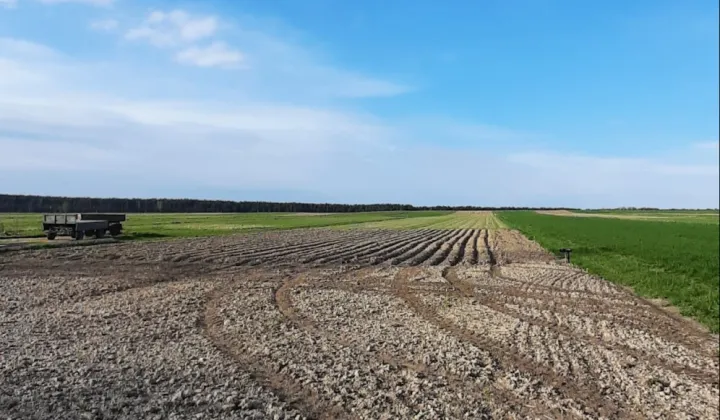 Działka rolna Konieczno Półanki