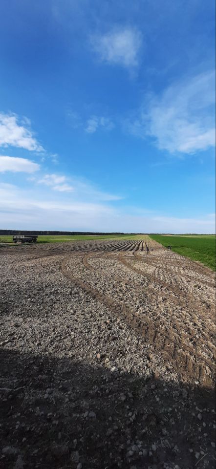 Działka rolna Konieczno Półanki. Zdjęcie 1