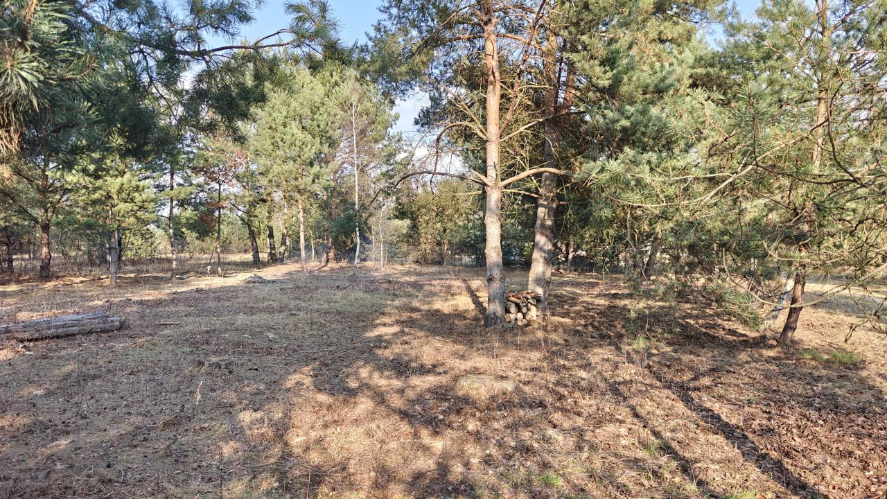 Działka budowlana Nowe Budy, ul. Sosnowa. Zdjęcie 5