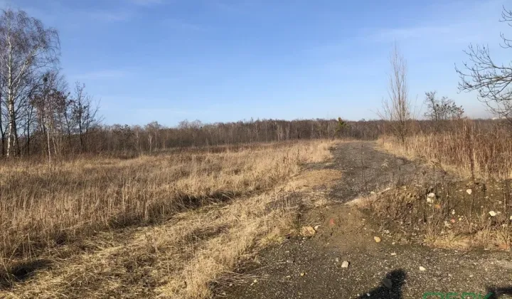 Działka budowlana Bytom, ul. Węglowa