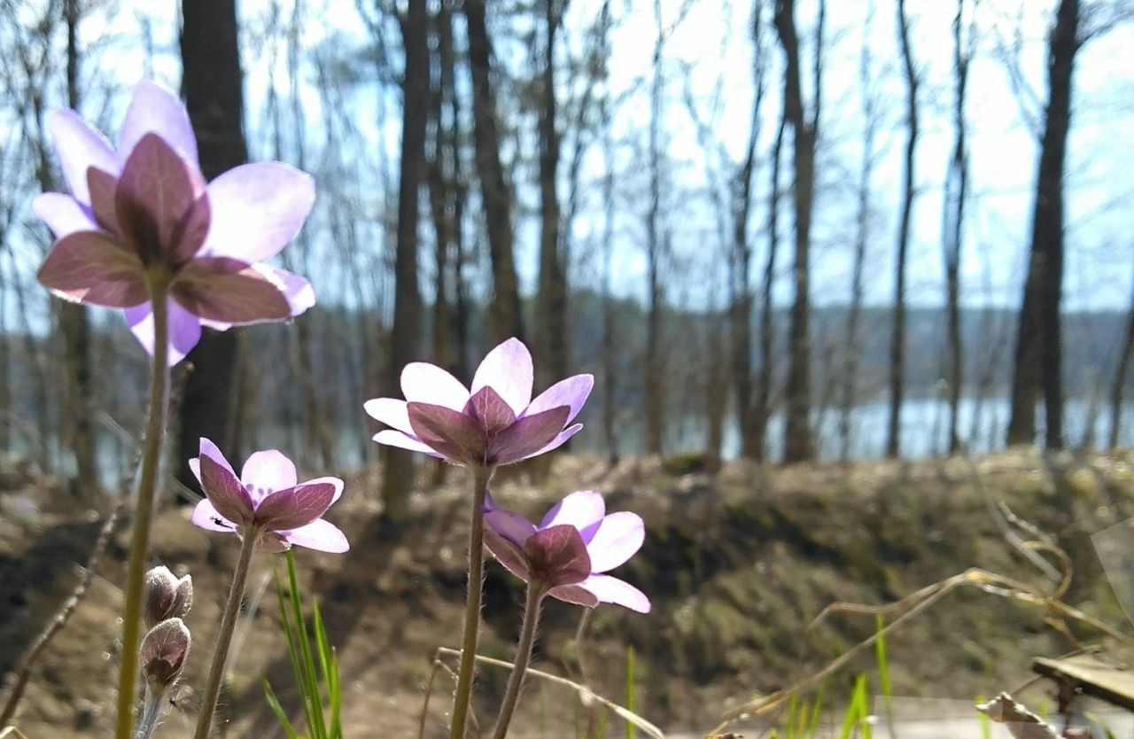 Mieszkanie 3-pokojowe Ruciane-Nida, ul. Gwarna. Zdjęcie 15