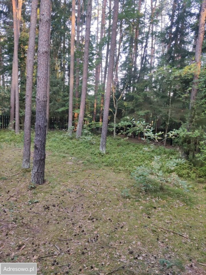 dom letniskowy, 6 pokoi Sędańsk. Zdjęcie 4