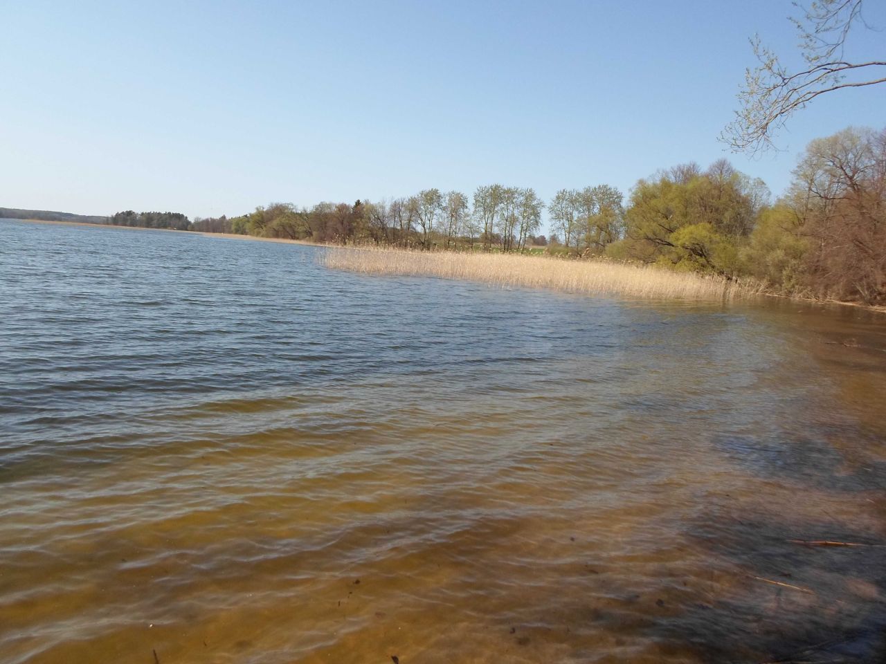 Działka rolno-budowlana Wilnowo. Zdjęcie 2