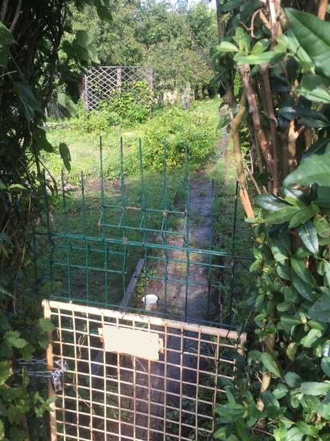 Działka rod Rypin. Zdjęcie 7